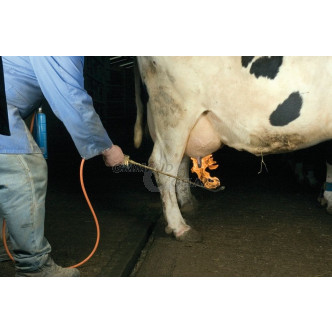 Burner for udder with refill