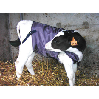 Manteau pour veau standart