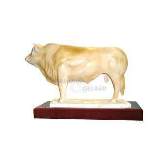 Trophée Blond d'Aquitaine