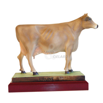 Trophée Brune