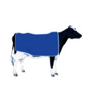 Manteau pour vache