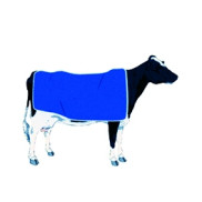 Manteaux vaches personnalisables