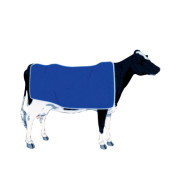 Manteau pour vache