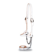 Licol cuir rond classique pour vache