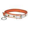 Heifer - calf collar with swivel