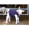 Coat for calf - Large model