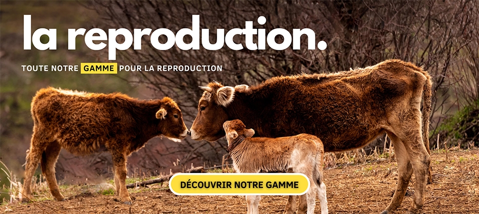 image-slider-la-reproduction