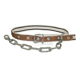 Collier taureau nylon avec chaîne et touret
