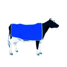 Manteaux vaches personnalisables